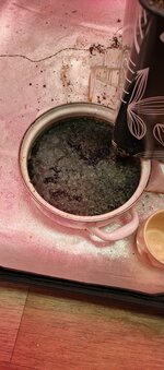 IMG_20260219_181243_732.jpg IMG_20260219_181243_732.jpg