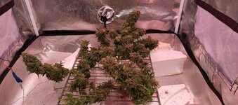 IMG_20260219_183923_293.jpg IMG_20260219_183923_293.jpg