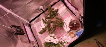 IMG_20260219_183935_186.jpg IMG_20260219_183935_186.jpg