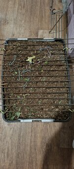 IMG_20260219_184029_489.jpg IMG_20260219_184029_489.jpg