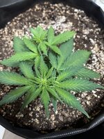 photo_2026-02-20_02-02-08 (2).jpg