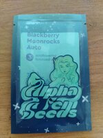 Луна в шкафу