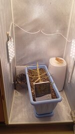 итог (2).jpg итог (2).jpg