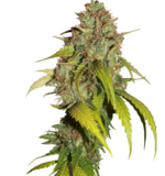 1771920725200.png 1771920725200.png