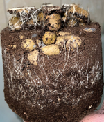 1772466393781.png 1772466393781.png