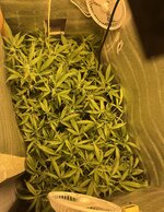 1 — копия.jpg