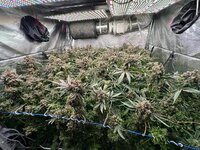 IMG_0563.jpeg IMG_0563.jpeg