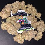 IMG_0172.jpeg IMG_0172.jpeg