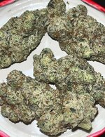 IMG_8102.jpeg IMG_8102.jpeg