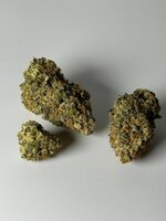 IMG_6860.jpeg IMG_6860.jpeg