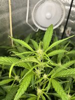 4 — копия.jpg