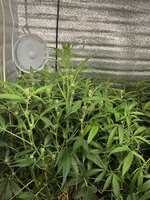 3 — копия.jpg