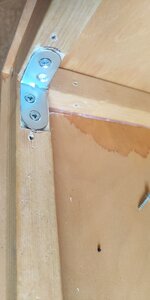 P50714-185446 (1).jpg P50714-185446 (1).jpg