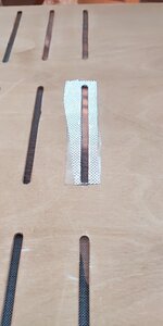 P50801-193929 (1).jpg P50801-193929 (1).jpg