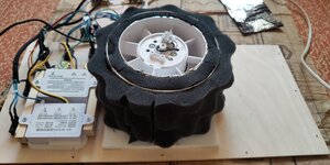 P50816-191119.jpg P50816-191119.jpg