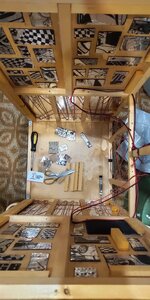 P50825-210437 (1).jpg P50825-210437 (1).jpg