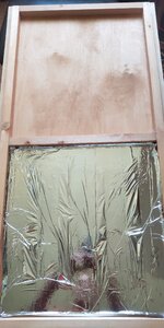 P50813-175336 (1).jpg P50813-175336 (1).jpg