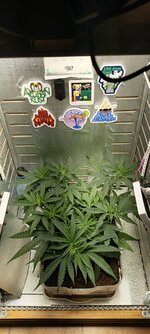 IMG_20260309_104426_130.jpg IMG_20260309_104426_130.jpg