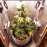 альпухренька.jpg альпухренька.jpg