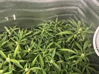 8 — копия.jpg