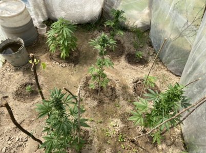 3.06.22 7.jpeg 3.06.22 7.jpeg