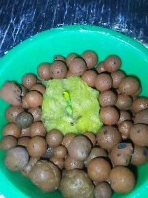 IMG_20220604_133609_204_copy_600x800.jpg IMG_20220604_133609_204_copy_600x800.jpg