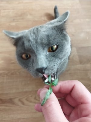 IMG_20220605_094057.jpg IMG_20220605_094057.jpg