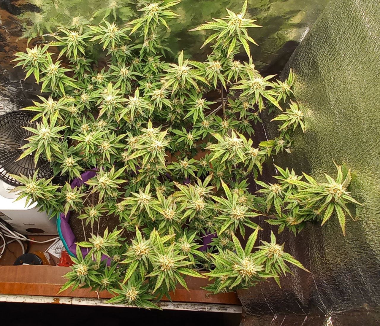 photo_2022-06-07_16-38-44.jpg photo_2022-06-07_16-38-44.jpg