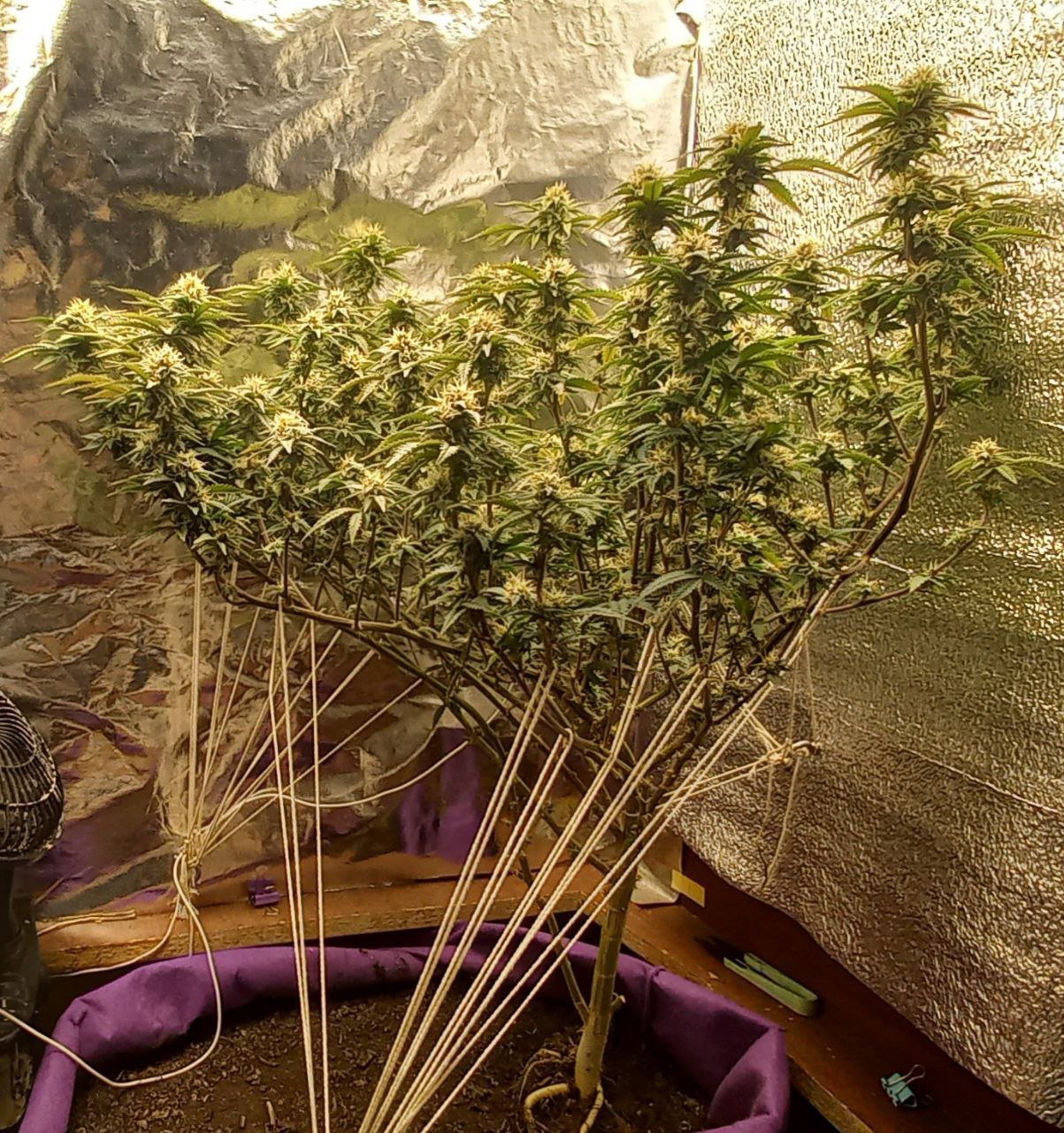 photo_2022-06-07_16-38-49.jpg photo_2022-06-07_16-38-49.jpg