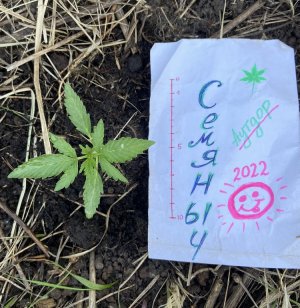 8.06.22лес 2.jpeg 8.06.22лес 2.jpeg