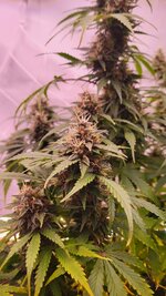 Вдох… и ты в Астрале