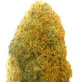 1773559290386.png 1773559290386.png