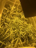 1 — копия.jpg