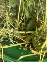 3 — копия.jpg