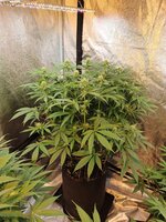 2026-03-16 225050.jpg