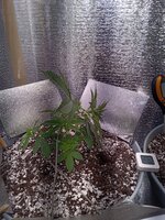 20260316_224742486.jpg 20260316_224742486.jpg