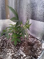 20260316_224828622.jpg 20260316_224828622.jpg