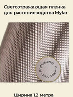 1000023594.jpg 1000023594.jpg