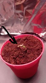 1000023596.jpg 1000023596.jpg