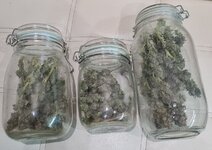 Адский огонь 🔥 или He’ll Fire OG