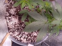 20260318_223511055.jpg 20260318_223511055.jpg