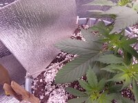 20260318_223528524.jpg 20260318_223528524.jpg