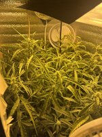 1 — копия.jpg