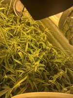 2 — копия.jpg