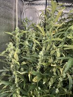 3 — копия.jpg