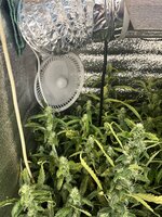 4 — копия.jpg