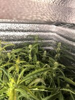 5 — копия.jpg