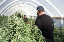 IMG_1435.jpeg IMG_1435.jpeg