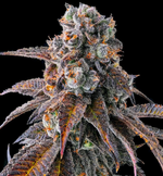 1773998492514.png 1773998492514.png