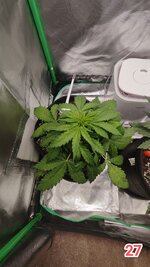 Размывая Границы Реальности